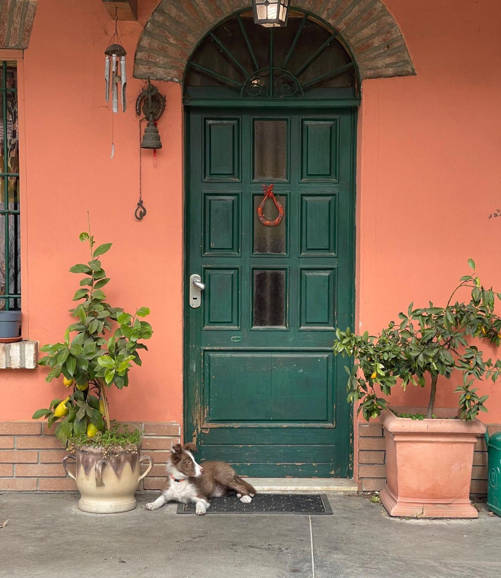 B&B La Cascina Di Alice Castiglione Delle Stiviere Esterno foto